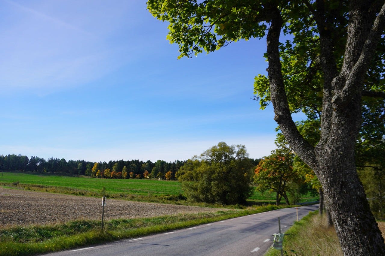 Ek och åker i höstiga färger